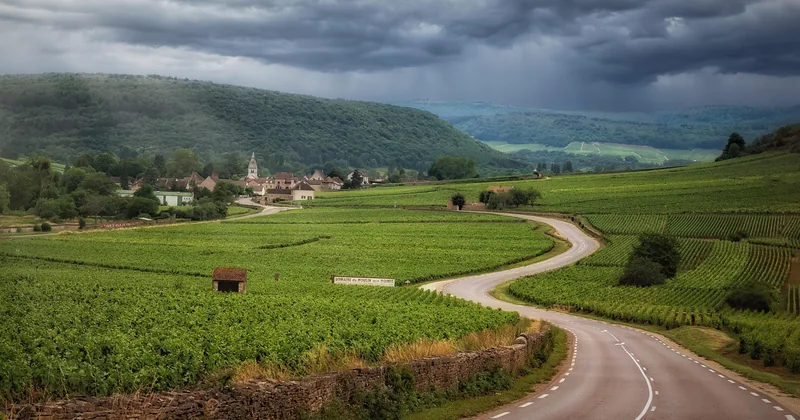Pourquoi la Bourgogne ne ressemble à aucune autre route des vins