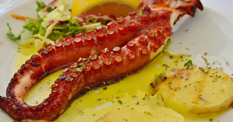 Quels sont les meilleurs festivals gastronomiques en Espagne ?