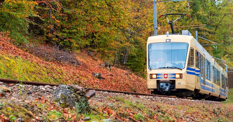 Conseils logistiques : eau, train, stationnement, et les erreurs que j'ai commises